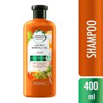 28035037-shampoo-herbal-essences-bio-renew-golden-oleo-moringa-400ml-1