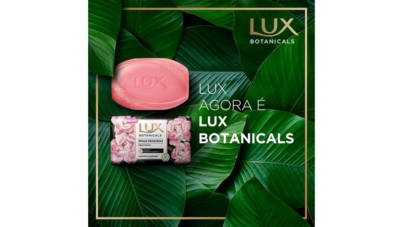Sabonete Líquido Lux Botanicals Rosas Francesas 250ml em Oferta -  Farmadelivery
